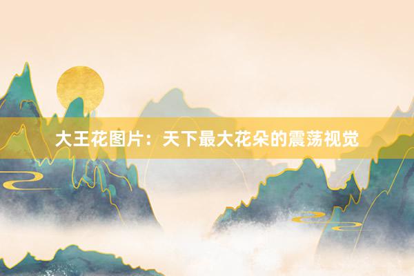 大王花图片：天下最大花朵的震荡视觉