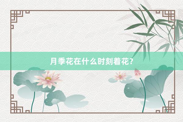 月季花在什么时刻着花？